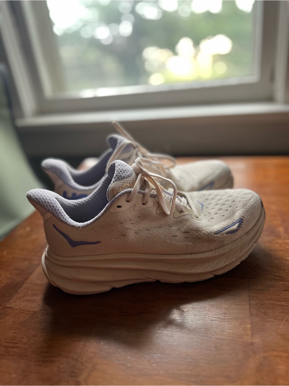 Hoka Clifton 10 limited edition free people